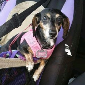 Meet your Posher, Melisa